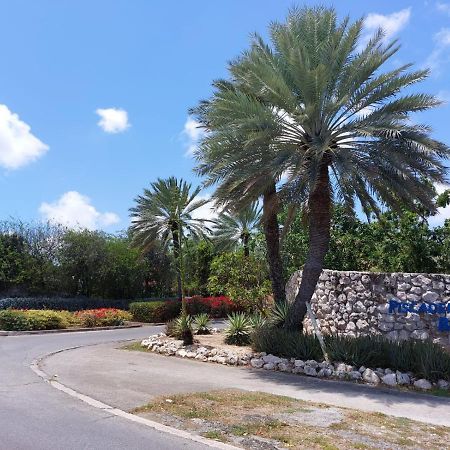 Piscadera Bungalow Daire Willemstad Dış mekan fotoğraf